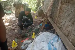 Фейк: Повідомлення про напад леопарда на горі Папандаян виявилося неправдивим
