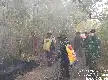 Ante la propagación del incendio forestal en el monte Soputan, el gobierno provincial de Célebes Septentrional despliega un equipo conjunto interinstitucional