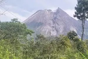 Merapi Volcanic Activity Rises, Klaten Slope Residents on High Alert