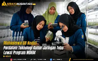 Mejora de la competencia agrícola: Estudiantes de la UB Kediri aprenden cultivo de tejidos de caña de azúcar en Madiun