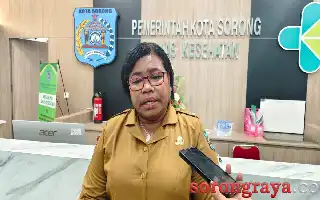 Sorong Health Office Forms Special Team to Audit Maleo Hospital Following Toddler's Death