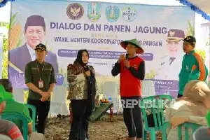 Impulsando la autosuficiencia, Ponorogo refuerza la productividad del maíz mediante la innovación en tecnología de semillas