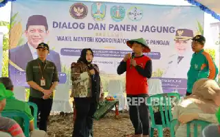 Impulsando la autosuficiencia, Ponorogo refuerza la productividad del maíz mediante la innovación en tecnología de semillas